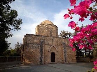 Cyprus Go As You Please Private Half-day Taxi Tour